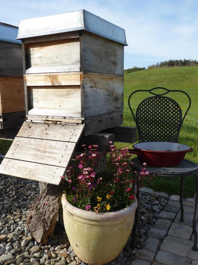 Erholungsraum Karsee - Ferienwohnung Wangen im Allgäu Exteriér fotografie
